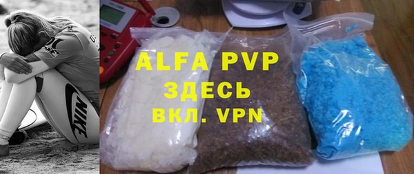 гашик Каменногорск