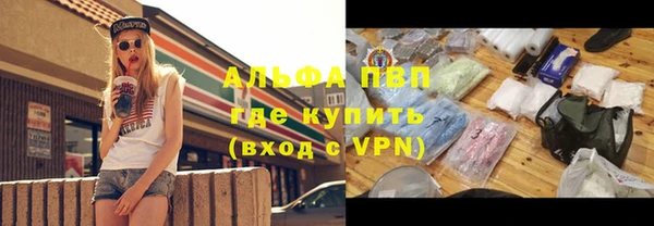 гашик Каменногорск
