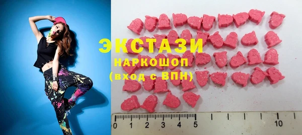 сатива Каменка