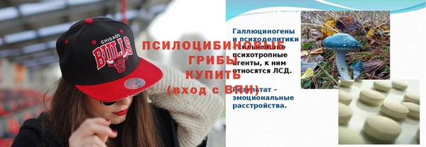 МДПВ Каменск-Шахтинский