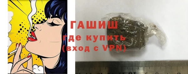 сатива Каменка