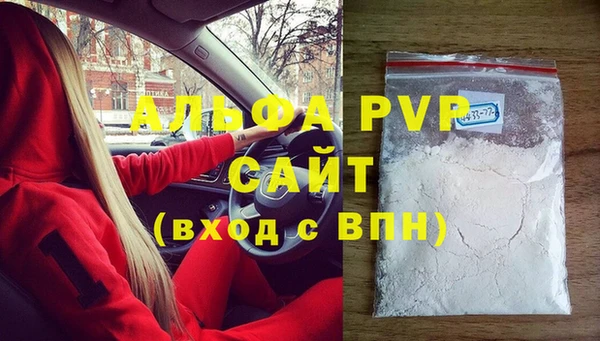 гашик Каменногорск