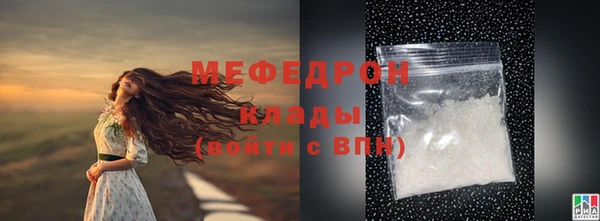 сатива Каменка