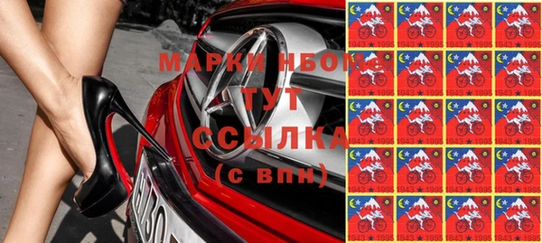 гашик Каменногорск