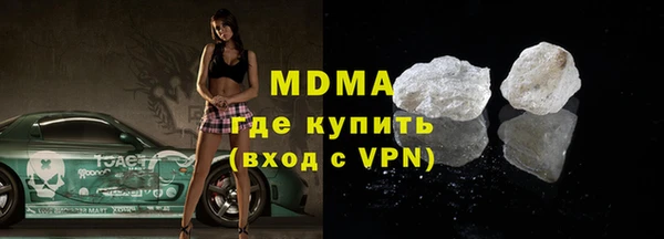 сатива Каменка