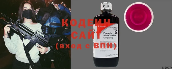 сатива Каменка