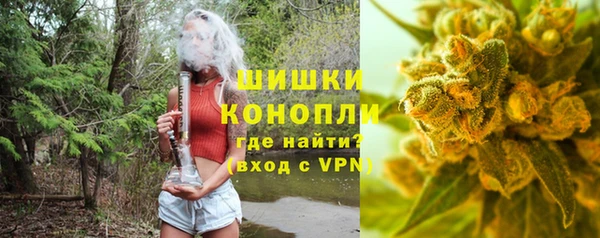 гашик Каменногорск
