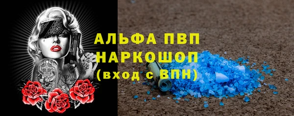 сатива Каменка