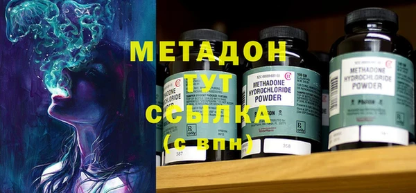 сатива Каменка