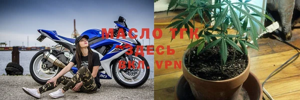 сатива Каменка