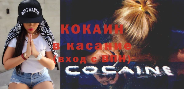гашик Каменногорск