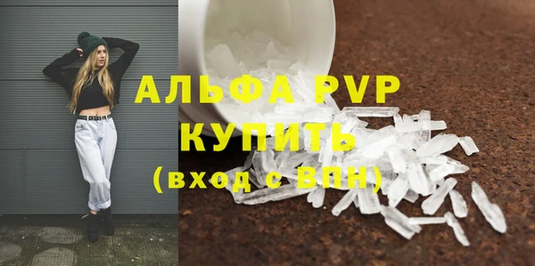 гашик Каменногорск