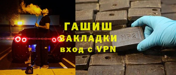 сатива Каменка